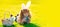 Wide photo banner for website header design. Child boy laying on grass hunting easter eggs. Cute kid in rabbit costume