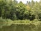 Wide pine tree forest reflect in huge lake in mountains b