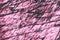 Wide pink rhodonite slice background