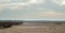 Wide plain with sand and heather on overcast winter day.