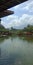 Wide Pond under Pretty Sky with Perfect-Shaped Clouds