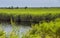 A wide reed marshland in Ukrainian part of Danube delta, Ukraine