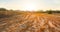 wide sandy prairie at the sunset