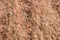 Wide sandy reddish stone texture background for designs