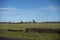 Wide, scenic view of a large plot of farm land in the Pacific Northwest