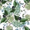 Wide seamless floral background pattern. Succulent with christmas berries, branches with leaves on white background.