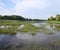 Wide shallow spills of the river are heavily overgrown with algae