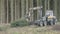 Wide shoot of forestry harvester cutting trees