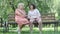 Wide shot of arrogant senior women sitting on bench discussing people. Portrait of presumptuous blond and brunette