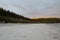 Wide shot of a beach in Bamfield, Canada during sunset with rows of trees visible in the distance