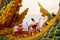 Wide shot of beautiful Asian woman with Thai traditional dress stand with Thai dance action in front of the naga sculpture in