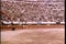 Wide shot of bull running around empty bullfighting ring