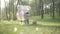 Wide shot of Caucasian young father and little son laying blanket on green summer meadow. Happy man and boy on family