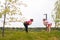 Wide shot of cheerful fitness female trainer giving personal training to motivated overweight young woman outdoor in