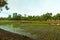 Wide shot of colorful bikes on green grass field with trees surrounded by plants planted in soil