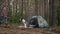 Wide shot dog sitting at tent in forest greeting woman approaching in slow motion talking. Purebred pet enjoying leisure