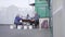 Wide shot of elderly Caucasian couple of farmers sorting potato outdoors. Senior husband and wife harvesting vegetables