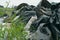 Wide shot of fly-tipping plastic bags of garbage illegally dumped in countryside