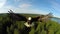 Wide shot of flying bald eagle over outdoor terrain