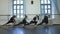 Wide shot of four gorgeous confident Caucasian young dancers training at dance barres in studio. Group of professional