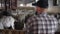 Wide shot goats in barn eating hay in slow motion with blurred farm owner standing at fence at front. Livestock in