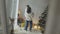 Wide shot of happy Caucasian couple dancing at home on Christmas eve. Reflection in mirror of smiling man and woman