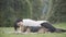 Wide shot of happy relaxed woman and dog lying on blanket in spring or autumn park. Carefree Caucasian lady and beagle