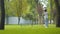 Wide shot of joyful African American girl running to smiling man on sunny day. Happy brother hugging sister and siblings