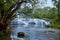 Wide shot of large cascading waterfalls with tree hanging over river and green forest