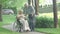 Wide shot of loving old husband giving gift box to paraplegic wife in sunny park. Portrait of affectionate Caucasian man