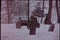 Wide shot of men carrying coffin through cemetery in winter