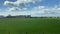 Wide shot out of a window of train, tracking along flat british UK southern England countryside and farmland clouds and blue sky -