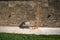 Wide shot of a pillow and blanket on a wooden bench on a sidewalk against a brick wall