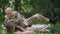 Wide shot portrait of happy Caucasian military mother tickling teenage son lying on blanket on green spring summer lawn