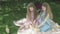 Wide shot of relaxed little girls sitting on blanket on meadow and caressing ducks. Portrait of charming pretty twins in