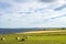 Wide shot of a seashore with hay bales in the far north of Scotland near Wick, Caithness