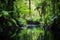 wide shot of a serene rainforest pond