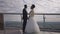 Wide shot side view of smiling loving African American bride and groom holding hands talking telling wedding vows on