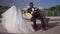 Wide shot of smiling happy groom sitting on bench with bride lying on knees. Romantic African American couple of