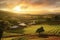 Wide shot of a sunset over the coffee plantation, with the golden light casting a warm glow on the fields, symbolizing the end of