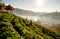 Wide shot of two Asian woman with hilltribe cloth carry basket to collect green tea leafs in early morning with warm sun light and