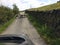 Wide shot of white sheep blocking the road surrounded with trees and grass field