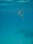 Wide Shot of Woman Snorkeler Looking Down