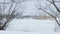 Wide snowy meadow with brown frozen bushes and bare trees