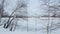 Wide snowy meadow with brown frozen bushes and bare trees