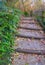 Wide Steps Through Wooded Parkland