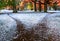 The wide trail is divided into two paths diverging in different directions. Autumn landscape with fallen leaves, frost and early