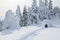 The wide trail leads to the snowy igloo. Winter mountain landscapes. Location place the Carpathian Mountains, Ukraine, Europe