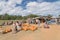 Wide variety of pumpkins decoration at local farm in Texas, Amer