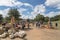 Wide variety of pumpkins decoration at local farm in Texas, Amer